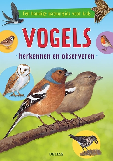 Afbeelding van Vogels herkennen en observeren
