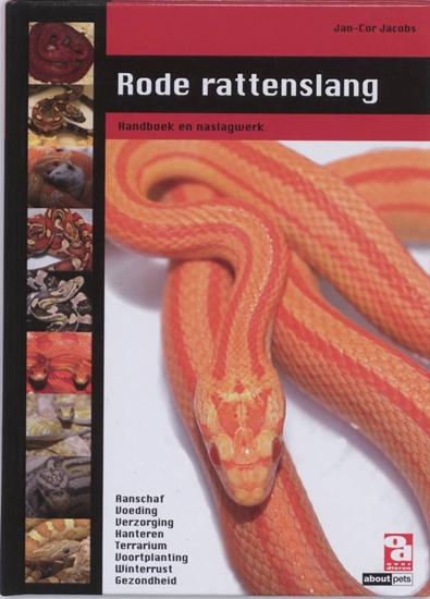 Afbeelding van Over Dieren Rode rattenslang