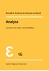 Afbeelding van Epsilon uitgaven Analyse