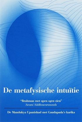 Afbeeldingen van De metafysische intuitie