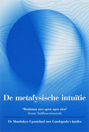 Afbeelding van De metafysische intuitie