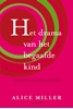 Afbeelding van Drama van het begaafde kind