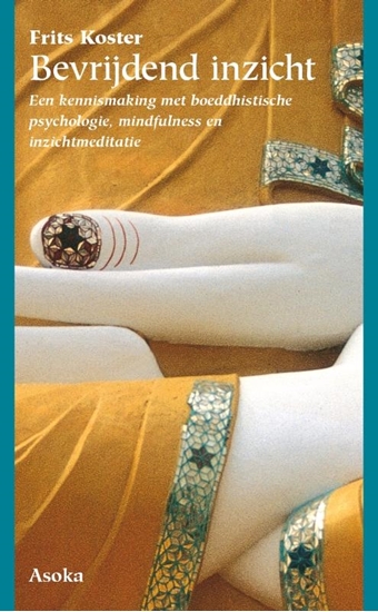 Afbeelding van Bevrijdend inzicht