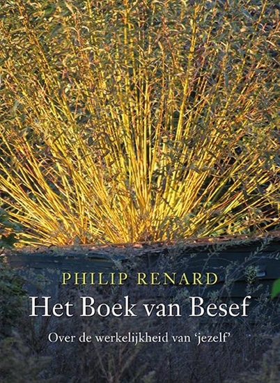 Afbeelding van Het boek van besef