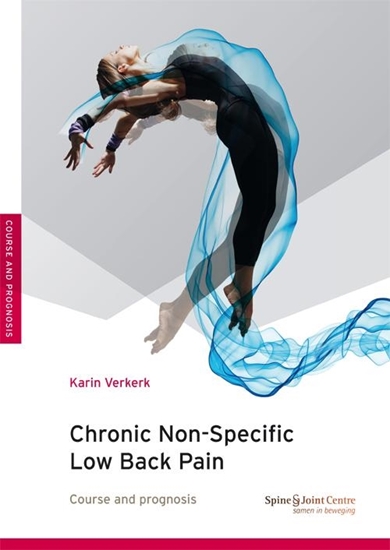 Afbeelding van Chronic non-specific low back pain