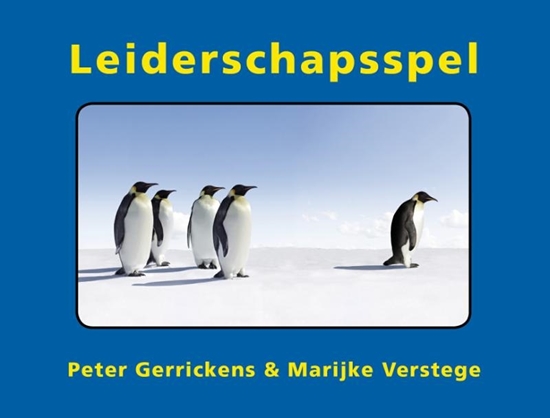 Afbeelding van Leiderschapsspel