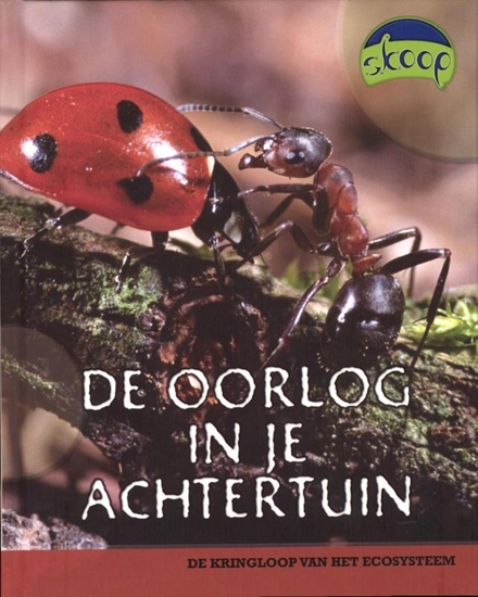 Afbeelding van Skoop De oorlog in je achtertuin
