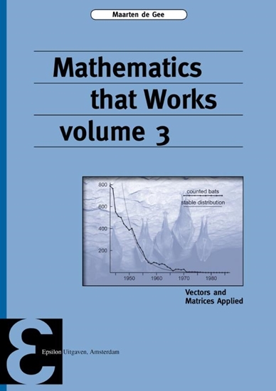 Afbeelding van Epsilon uitgaven Mathematics that Works 3