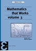 Afbeelding van Epsilon uitgaven Mathematics that Works 3