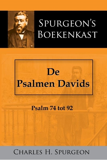 Afbeelding van De Psalmen Davids 3
