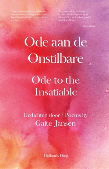 Afbeelding van Ode aan de Onstilbare