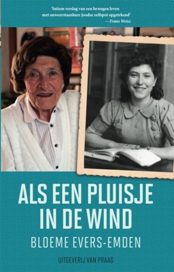 Afbeelding van Als een pluisje in de wind