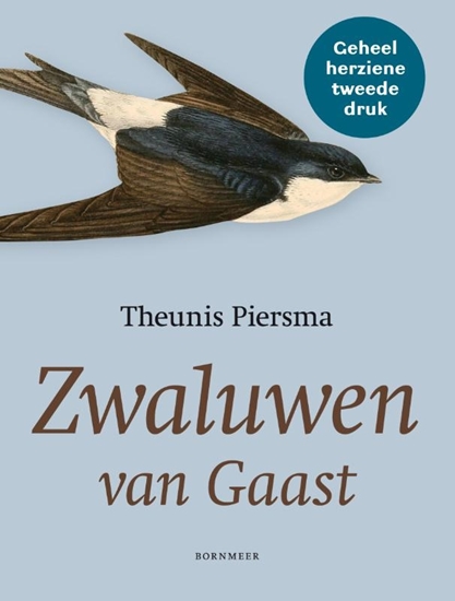 Afbeelding van Zwaluwen van Gaast