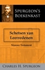 Afbeelding van Schetsen van Leerredenen 2