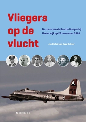 Afbeeldingen van Vliegers op de vlucht