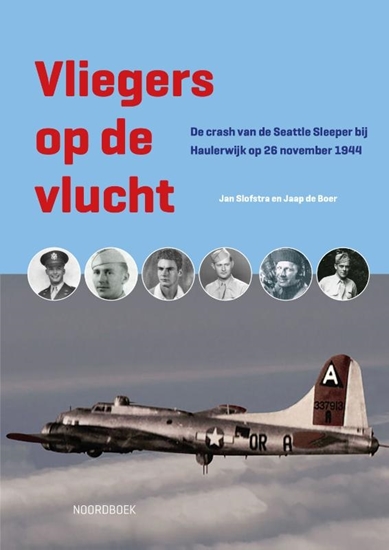 Afbeelding van Vliegers op de vlucht