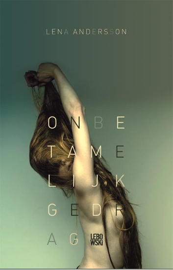 Afbeelding van Onbetamelijk gedrag