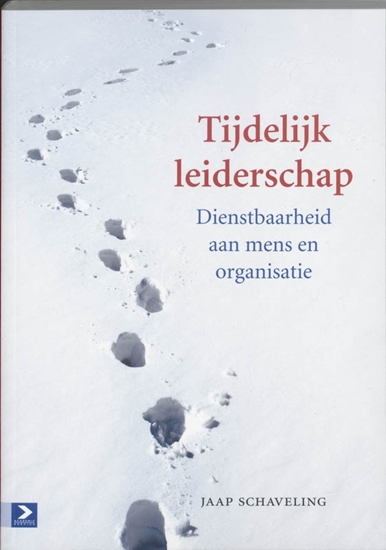 Afbeelding van Tijdelijk leiderschap