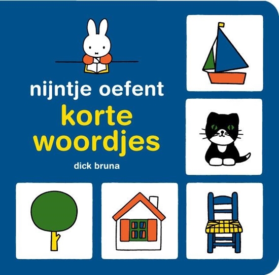 Afbeelding van Nijntje oefent nijntje oefent korte woordjes