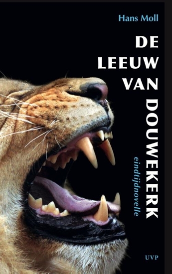 Afbeelding van De Leeuw van Douwekerk