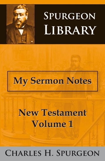 Afbeelding van New Testament My sermon notes