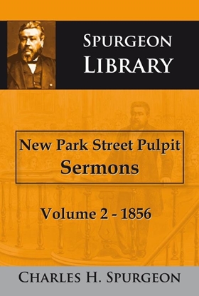 Afbeeldingen van New Park Street Pulpit Sermons 2 1856