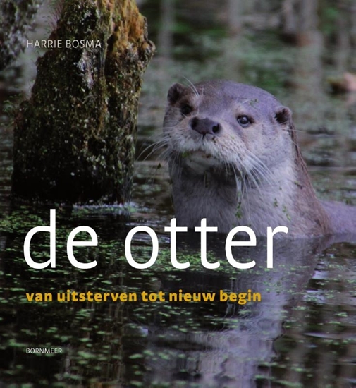 Afbeelding van De otter