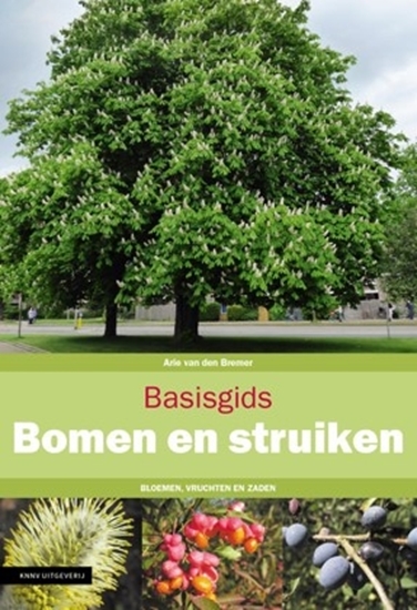 Afbeelding van Basisgids Basisgids Bomen en struiken