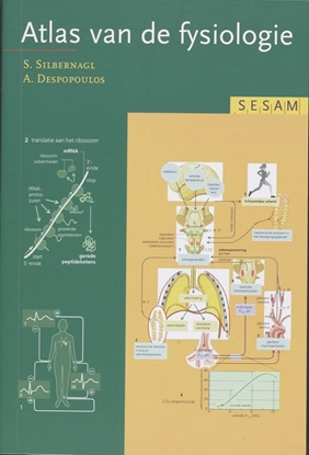 Afbeeldingen van Sesam Atlas van de fysiologie