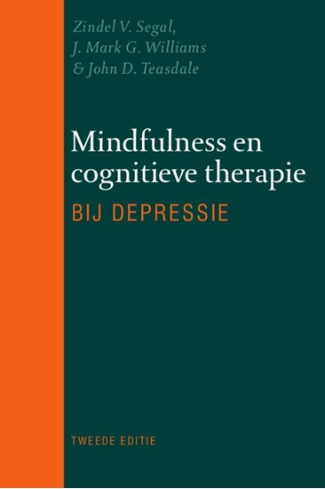 Afbeelding van Mindfulness en cognitieve therapie bij depressie
