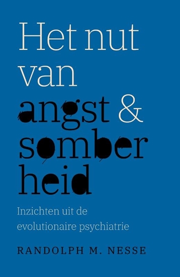 Afbeelding van Het nut van angst en somberheid