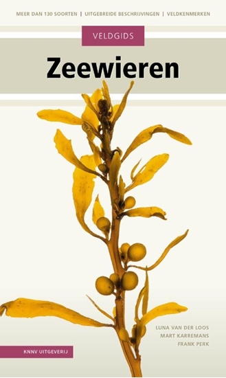 Afbeelding van Veldgids Veldgids Zeewieren