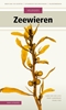 Afbeelding van Veldgids Veldgids Zeewieren