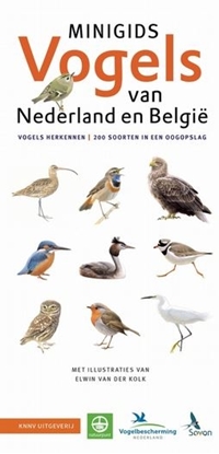 Afbeeldingen van Minigids Set Minigids Vogels van Nederland en België