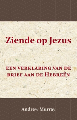 Afbeeldingen van Ziende op Jezus