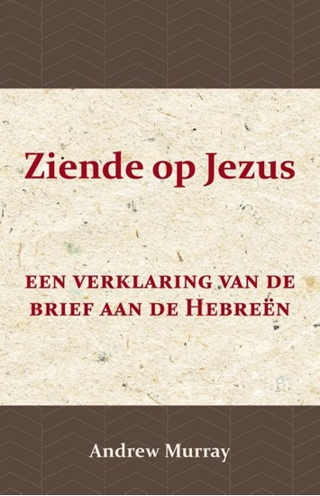 Afbeelding van Ziende op Jezus