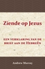 Afbeelding van Ziende op Jezus