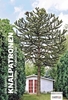 Afbeelding van Knalpatronen