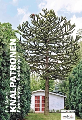 Afbeeldingen van Knalpatronen