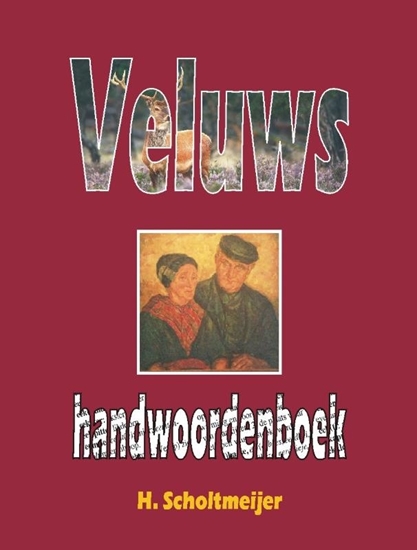 Afbeelding van Veluws handwoordenboek