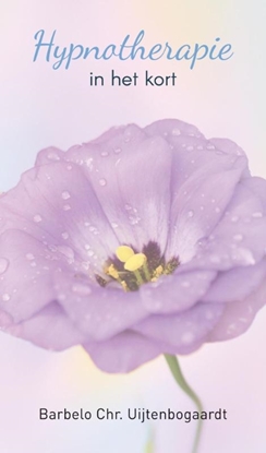 Afbeeldingen van Hypnotherapie in het kort