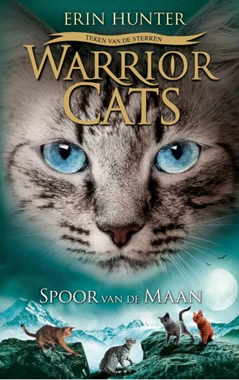 Afbeelding van Spoor van de maan