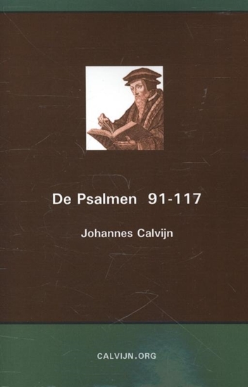 Afbeelding van De Psalmen 91-117