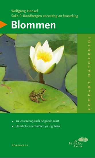 Afbeelding van Blommen