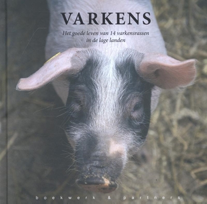 Afbeeldingen van Varkens