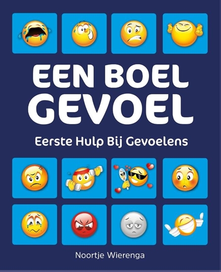 Afbeelding van Een boel gevoel