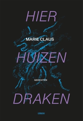 Afbeeldingen van Hier huizen draken