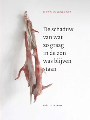 Afbeeldingen van De schaduw van wat zo graag in de zon was blijven staan