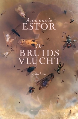 Afbeeldingen van De bruidsvlucht