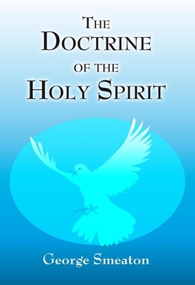 Afbeeldingen van The doctrine of the Holy Spirit